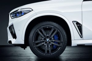 Roată completă de iarnă BMW BMW X5, BMW X6 (295/35 R21)