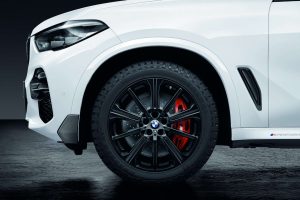 Roată completă de iarnă BMW BMW X5, BMW X6 (275/45 R20)